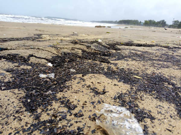 Karwar Ravindranath Tagore Beach has turned black today