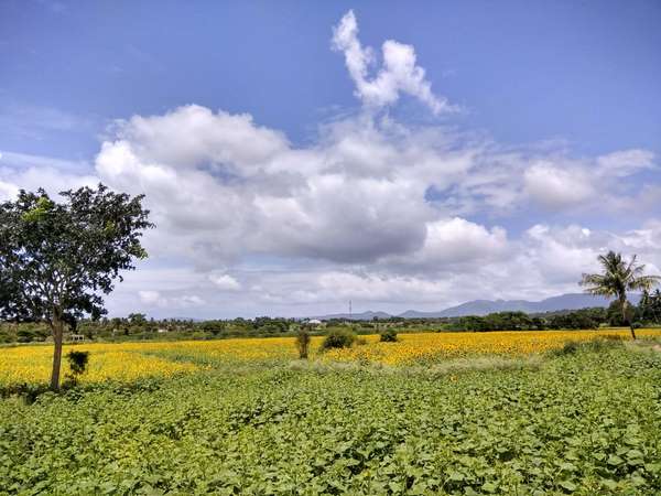 ಚಾಮರಾಜನಗರದ ಚೆಂದ