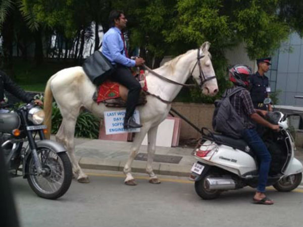 Bengaluru Techie Rides Horse To Work On Last Day To Protest Traffic 
