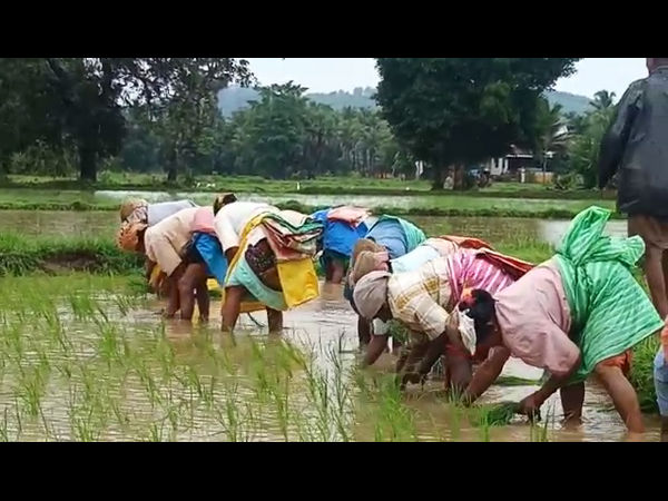 continuous rainfall in Udupi
