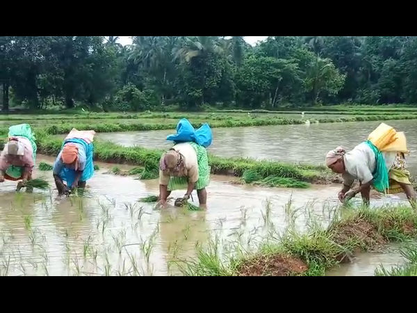 continuous rainfall in Udupi