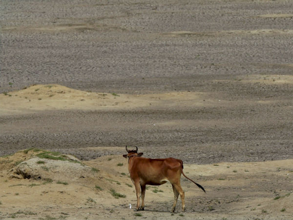 ಶುದ್ಧ ನೀರಿಲ್ಲದೆ 2 ಲಕ್ಷ ಸಾವು ಶುದ್ಧ ನೀರಿಲ್ಲದೆ 2 ಲಕ್ಷ ಸಾವು