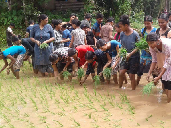  ವಿವಿಧ ಹಂತಗಳ ಮಾಹಿತಿ 