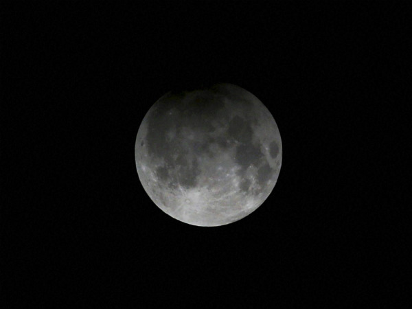 ನೀಲ ಚಂದ್ರಮ ಅಂದ್ರೆ...