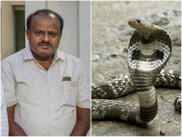 ಹುಡುಕಿಕೊಂಡು ಬಂದಿತ್ತು ಯೋಗಾಯೋಗ ಹುಡುಕಿಕೊಂಡು ಬಂದಿತ್ತು ಯೋಗಾಯೋಗ