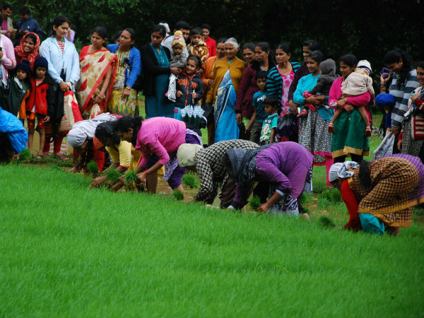 ಮಳೆಗಾಲದ ರೌದ್ರತೆ ಮರೆತಿದ್ದ ಜನರು!