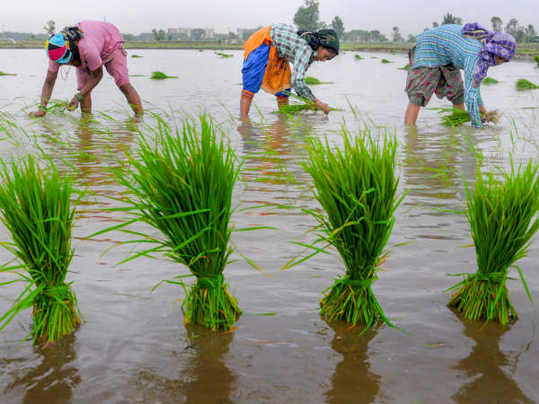 ಹಾರಂಗಿಯಿಂದ 8584 ಕ್ಯುಸೆಕ್ ನೀರು ಬಿಡುಗಡೆ 