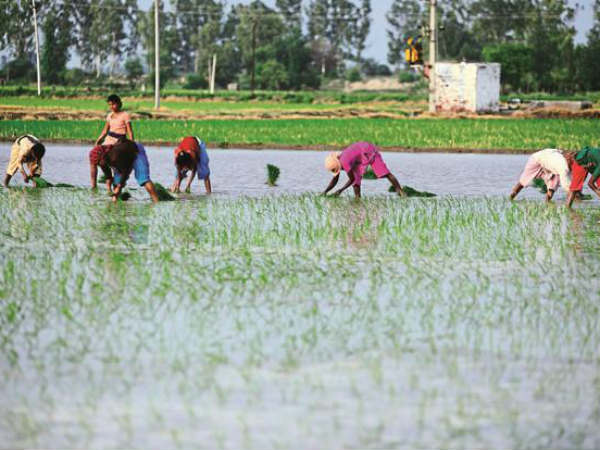 ಜನರ ನೆರವಿಗೆ ಕಂಟ್ರೋಲ್ ರೂಂ 