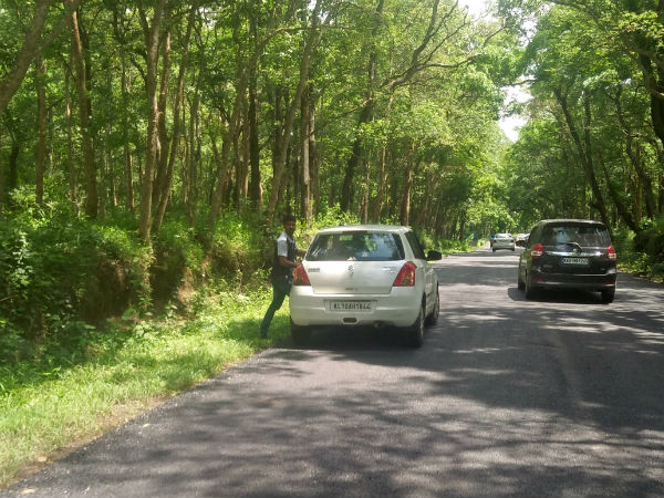 Torrists creating problems to wild animals