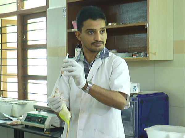 No cancer molecules in betel nut says study