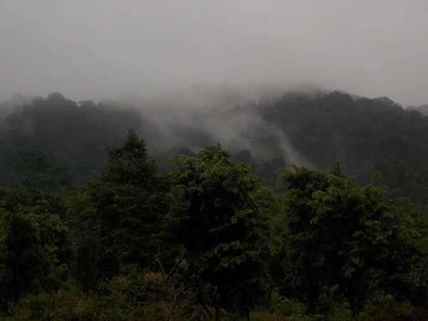 ಕೊಡೆ 'ಡಿಶ್' ಆದದ್ದು ನೆನಪಿದೆಯೇ?