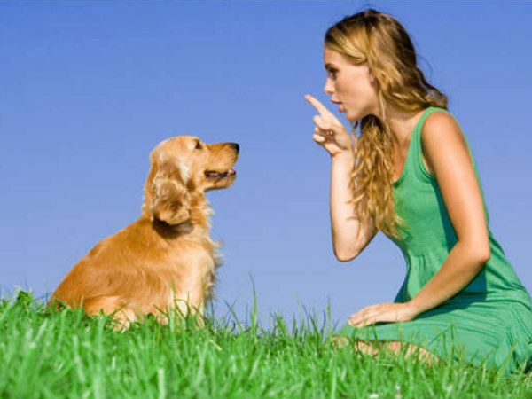 Human Canine bond : A sacred relationship