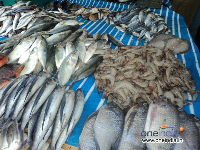 ಪತೋಲಜಿ ಪರೀಕ್ಷೆಗೆ ಮಾಡಲಿರುವ ಅಧಿಕಾರಿಗಳು