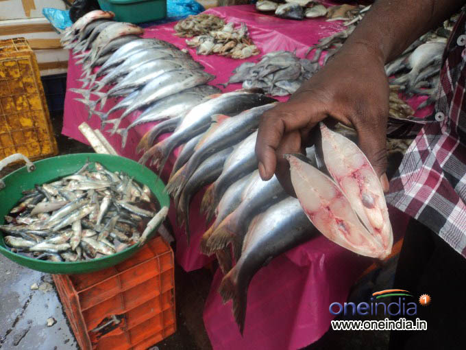 ಫರ್ಮಾಲಿನ್‌ ಶರೀರ ಪ್ರವೇಶಿಸಿದರೆ ಅಪಾಯ