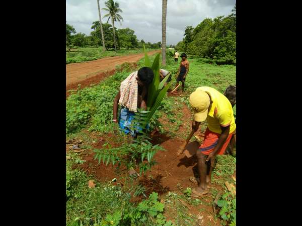  ಬಸಾಪುರ ತೋಟಗಾರಿಕೆ ಕ್ಷೇತ್ರ ಆಯ್ಕೆ