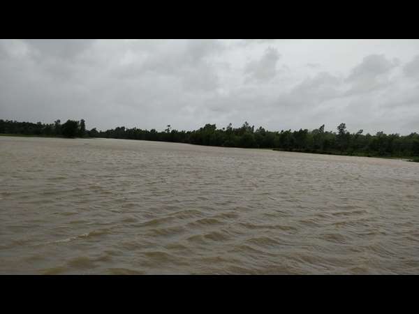 Water level in the Varada river has reached a level of risk