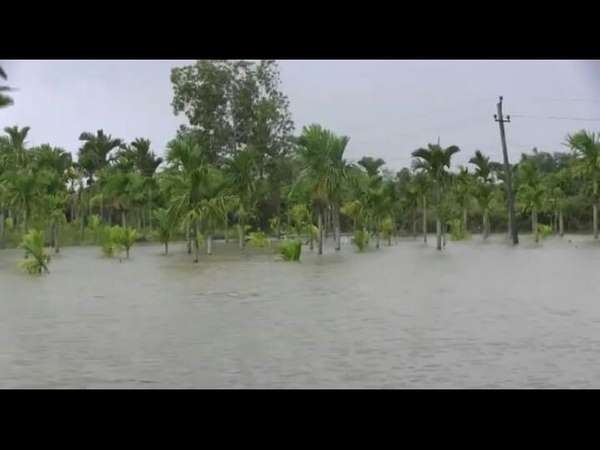 Water level in the Varada river has reached a level of risk