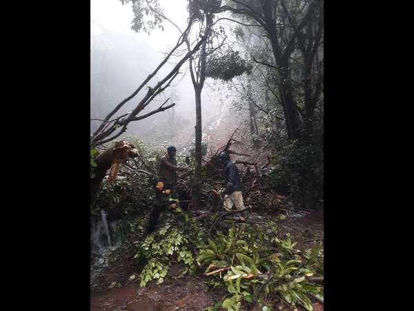 Heavy monsoon rainfall lashed Malnad region of the district on Tuesday