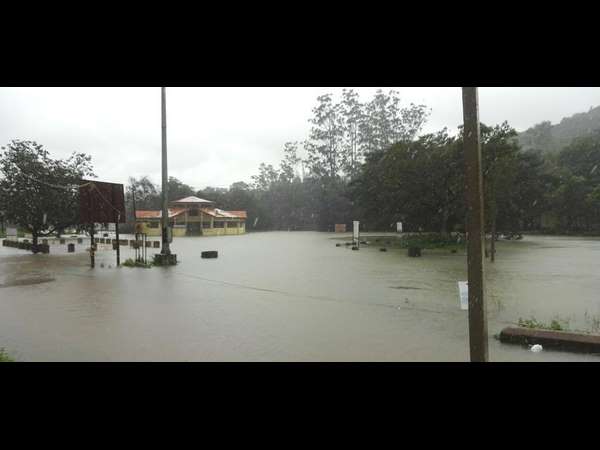 ಈ ಸಹಾಯವಾಣಿ ಸಂಖ್ಯೆಗೆ ಕರೆಮಾಡಿ!