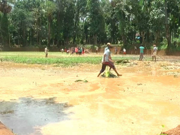 ಸಾವಯವ ಗೊಬ್ಬರ ಬಳಕೆ