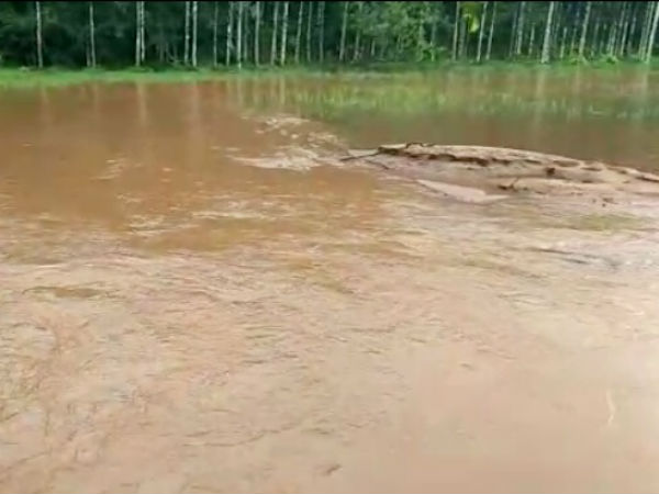 Heavy rain cause crop damage in Belthangady