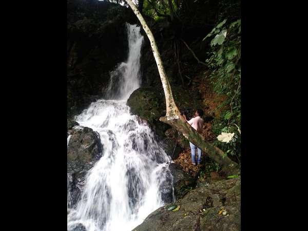 ಜಲಪಾತ ಎಲ್ಲಿದೆ? ಜಲಪಾತ ಎಲ್ಲಿದೆ?