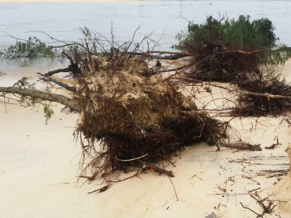 Heavy rain in Dakshina Kannada district , sea erosion in Sasihithlu