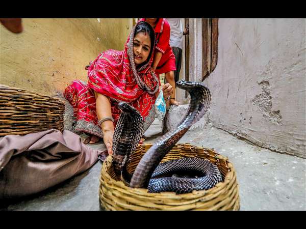  ಅಮೇರಿಕಾದಲ್ಲಿ ಮೊದಲು ಹಾವುಗಳ ದಿನ ಆಚರಣೆ