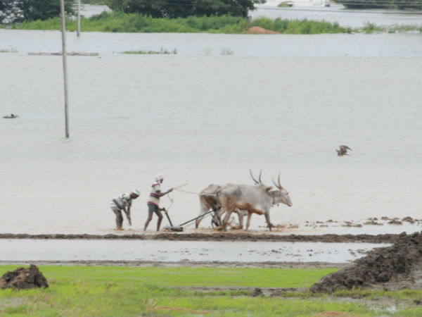  ಸಹಜ ಸ್ಥಿತಿಯತ್ತ ಜನಜೀವನ 