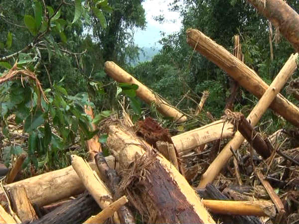  ಅರಣ್ಯ ಛಿದ್ರವಾಗಿರುವುದು ಪತ್ತೆ