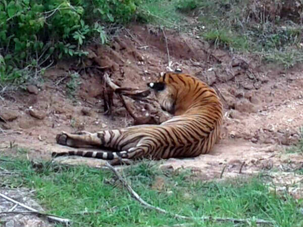 ಸಾಮಾಜಿಕ ಜಾಲತಾಣದಲ್ಲಿ ವಿರೋಧ