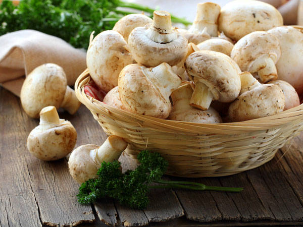 Mushroom have heavy demand during monsoon