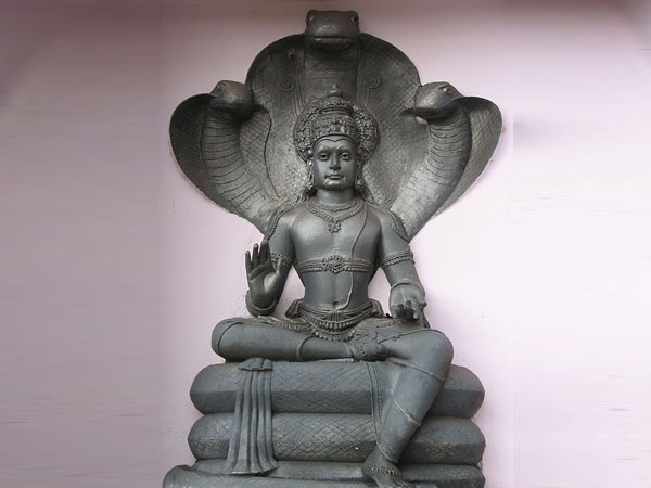 ನಾಗನ ಆರಾಧನೆಗೆ ಇಡೀ ಶ್ರಾವಣ ಮಾಸ ಶ್ರೇಷ್ಠ