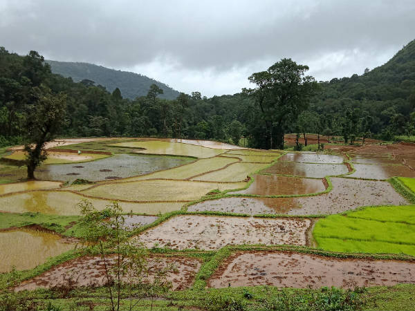 ಎರಡು ದಿನಗಳ ಚಾರಣ, ಒಟ್ಟು ಹದಿನಾಲ್ಕು ಕಿ.ಮೀ.