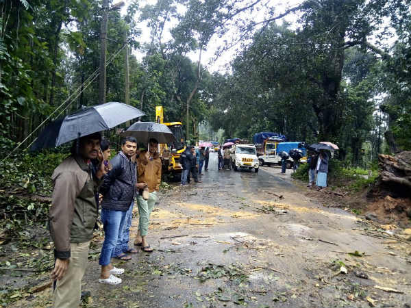 Rainfall is still continue on Sunday at coffee nadu Chikmagalur