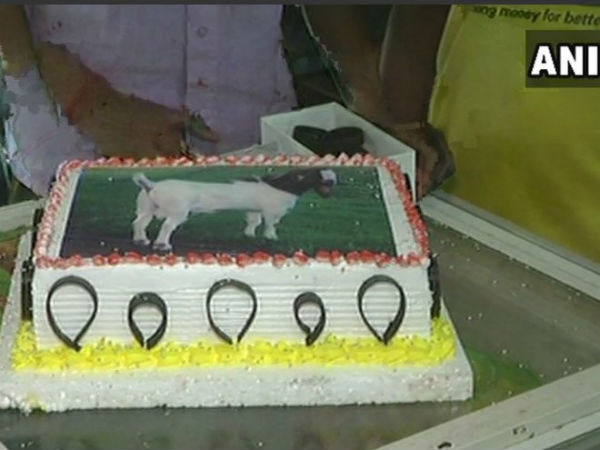 People in Lucknow are preparing to celebrate an eco friendly Bakrid People in Lucknow are preparing to celebrate an eco friendly Bakrid