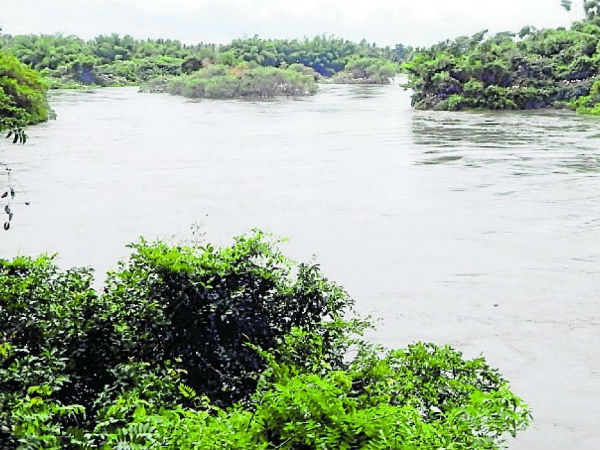  ರಂಗನತಿಟ್ಟು ಪಕ್ಷಿಧಾಮದಲ್ಲಿ ಹೆಚ್ಚಿದ ನೀರಿನ ಮಟ್ಟ 