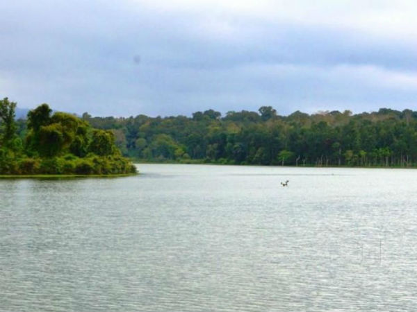  ದನ ಮೇಯಿಸೋದು.. ಕಾಡು ಹಣ್ಣು ಕೀಳೋದು..