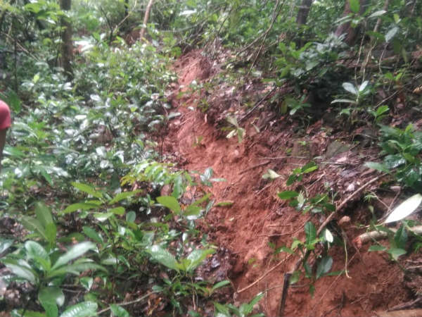 Anxiety about collapse of the Western Ghats. 