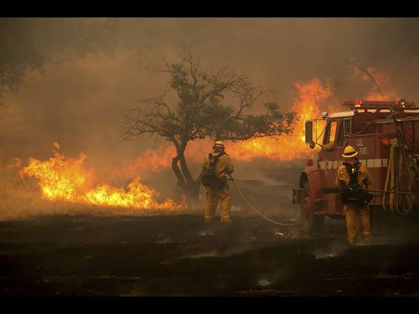 ವೇಗವಾಗಿ ಹರಡುತ್ತಿದೆ ಕಾಡ್ಗಿಚ್ಚು