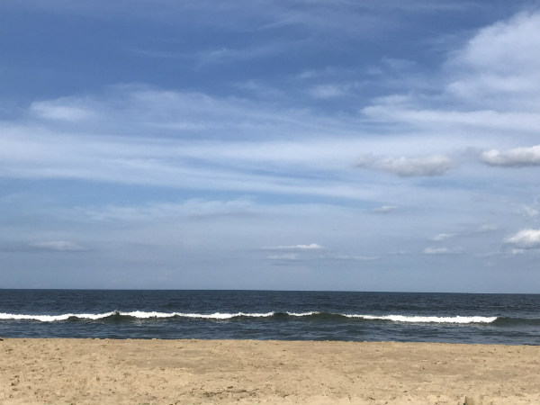 There are many reasons to love ocean