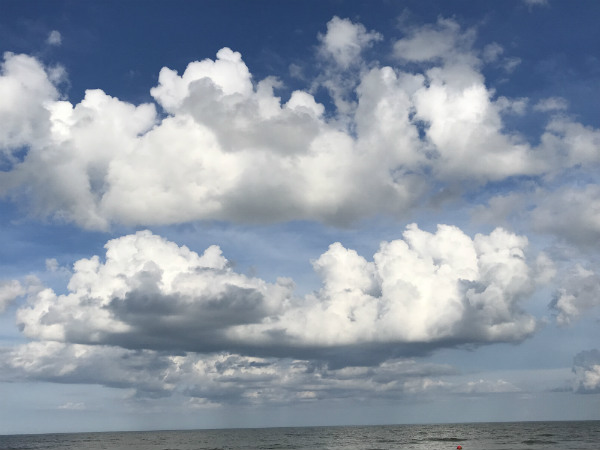 There are many reasons to love ocean