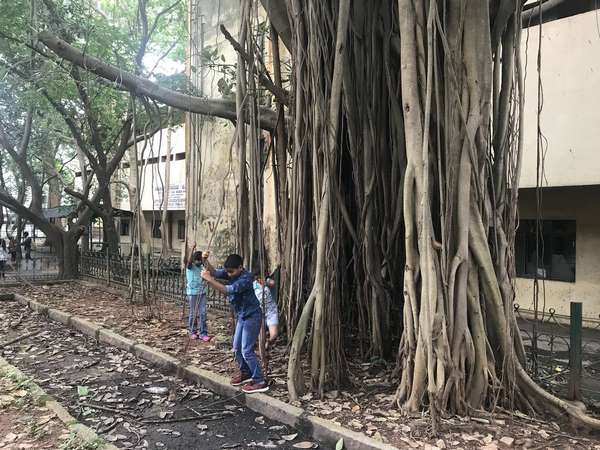 United Bengaluru holds Tree Census in Indira Nagar