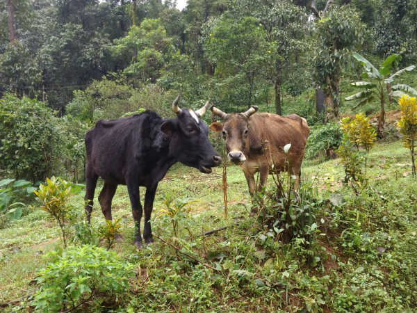 ತಮ್ಮದೇ ಮನೆಗೆ ತೆರಳಲು ಕೆಲವೇ ಗಂಟೆಗಳ ಅವಕಾಶ