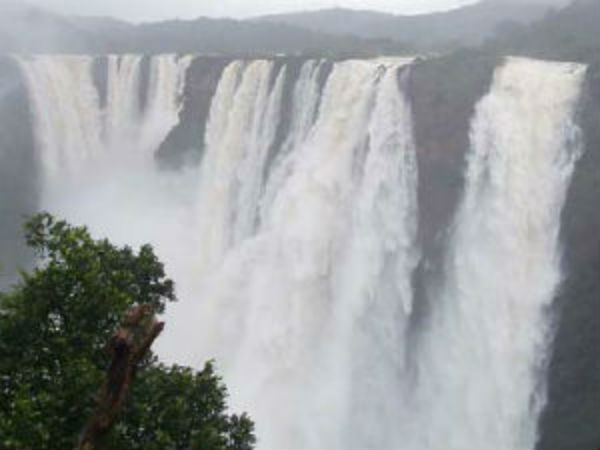 glory of jog falls is back after four years glory of jog falls is back after four years