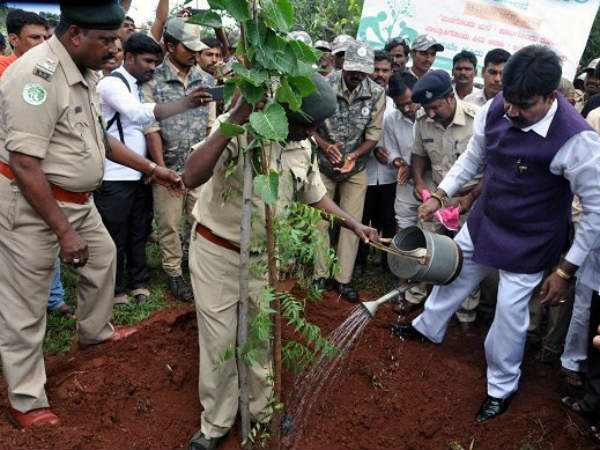 ಹಸಿರು ಕರ್ನಾಟಕ ಕಾರ್ಯಕ್ರಮ