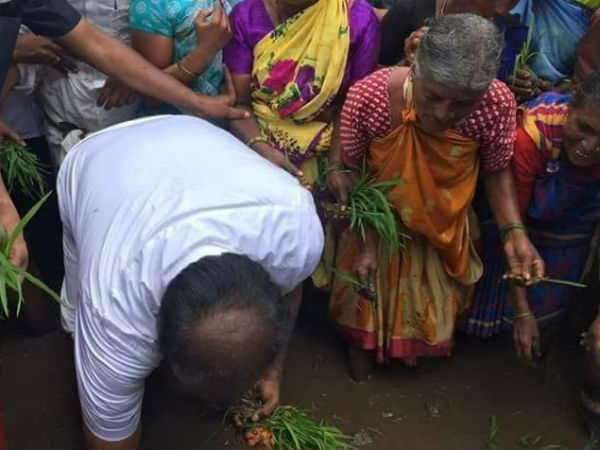 planting paddy program is not for politicl gain: Kumaraswamy