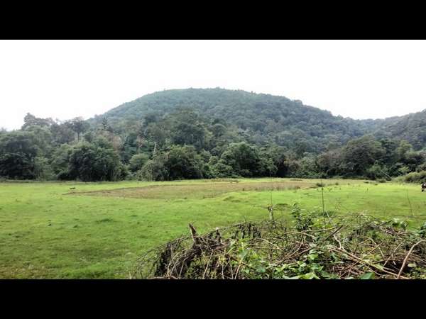 ದೊಡ್ಡ ಆಘಾತ ತಂದಿದ್ದು ಹರಳು ಕಲ್ಲು ದಂಧೆ