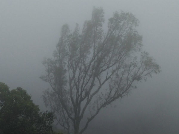 Mullayyanagiri trek in Chikmagalur