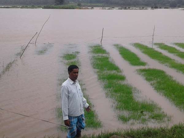 Heavy rainfall in Kerala leads to huge loss for the Mysuru farmers 